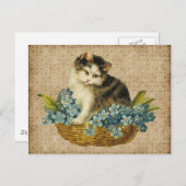  kat in mandje briefkaart (Voorkant / Achterkant)