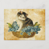 kat in mandje briefkaart (Voorkant)