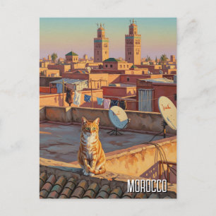Kat in Marrakesh Marokko Reizen Briefkaart