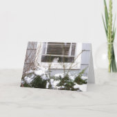 Kat in Mooie Zwart van Kerstmis van het Venster & Feestdagen Kaart (Voorkant)