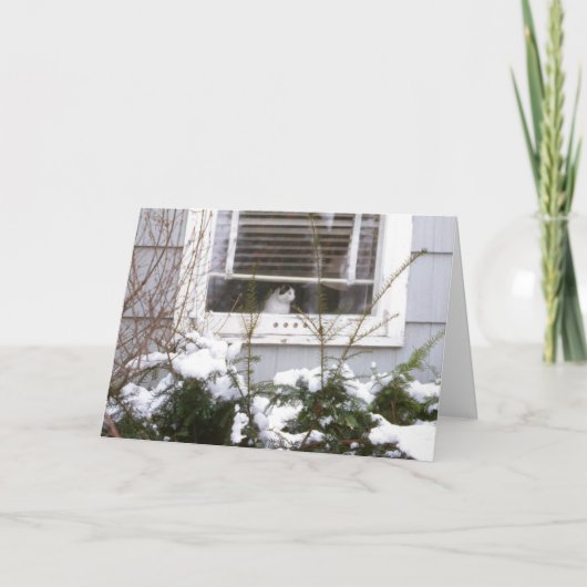 Kat in Mooie Zwart van Kerstmis van het Venster & Feestdagen Kaart (Voorkant)