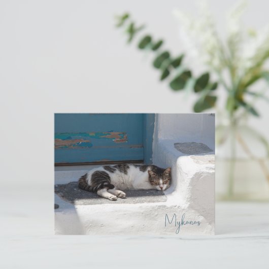 Kat in Mykonos Briefkaart (Staand voorkant)