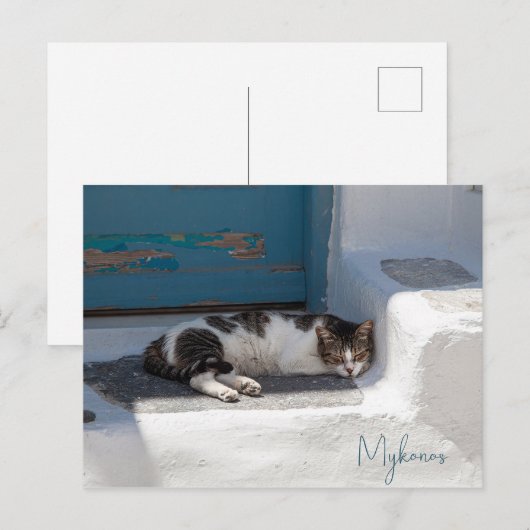 Kat in Mykonos Briefkaart (Voorkant / Achterkant)