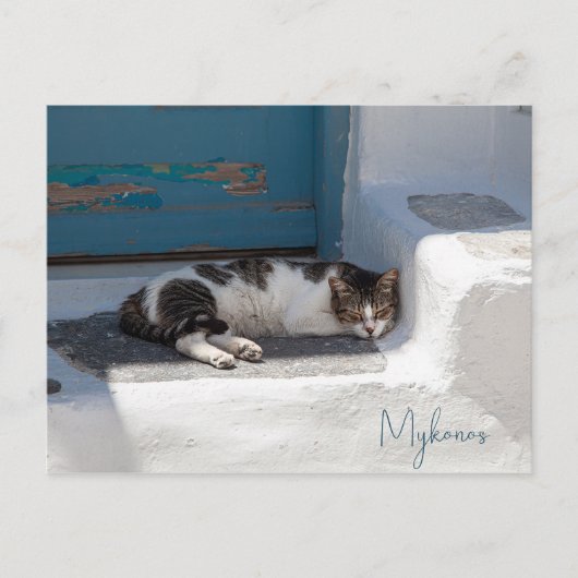 Kat in Mykonos Briefkaart (Voorkant)