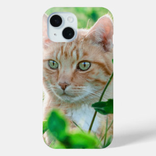 Kat in Natuur iPhone 15 Case