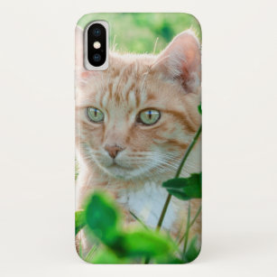 Kat in Natuur Case-Mate iPhone Case