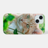 Kat in Natuur iPhone 15 Case (Achterkant horizontaal)