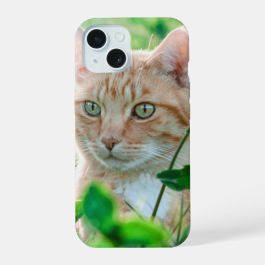 Kat in Natuur iPhone 15 Case (Achterkant)