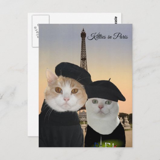 Kat in Parijs Briefkaart (Voorkant / Achterkant)