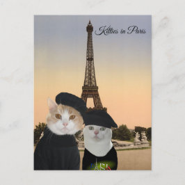 Kat in Parijs Briefkaart