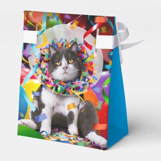 Kat in partijkloon bedankdoosjes (Achterkant)