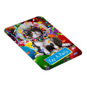Kat in partijkloon magneet (Rechterzijde)