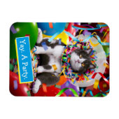 Kat in partijkloon magneet (Horizontaal)