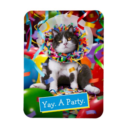 Kat in partijkloon magneet (Verticaal)