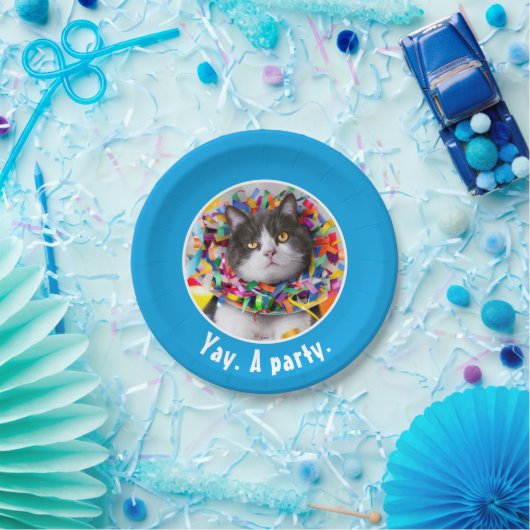 Kat in partijkloon papieren bordje (Feest)
