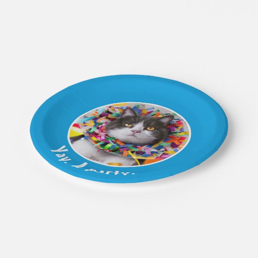 Kat in partijkloon papieren bordje (Gekanteld)