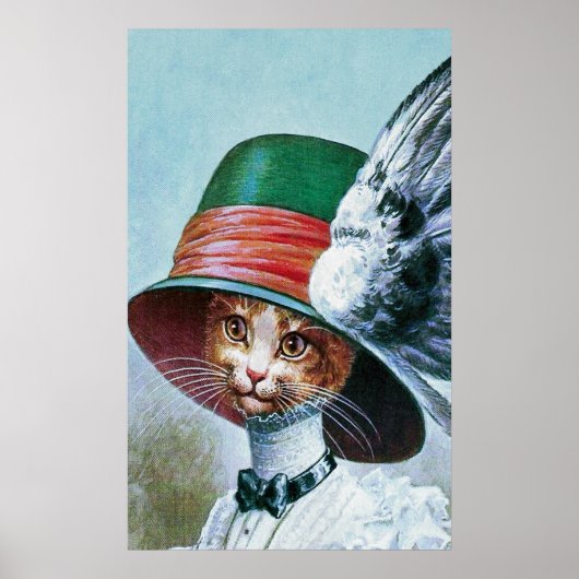  kat in Pet Poster afdrukken (Voorkant)