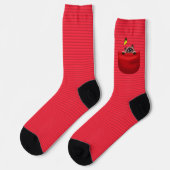 Kat in Pocket Sokken (Links)