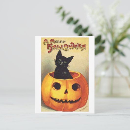 Kat in pompoen briefkaart (Staand voorkant)