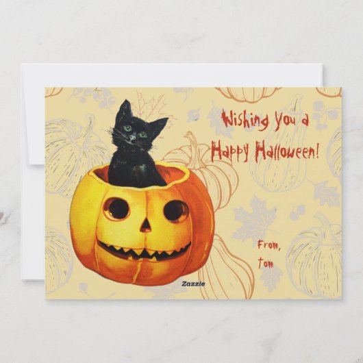 Kat in pompoen feestdagenkaart (Achterkant)