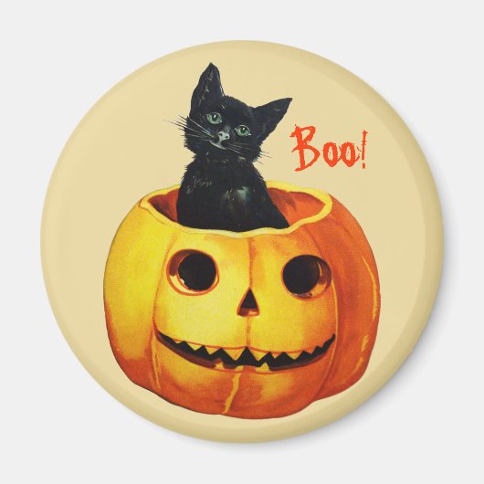 Kat in Pompoen Halloween Magnet (Voorkant)