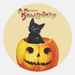Kat in Pompoen Halloween Stickers