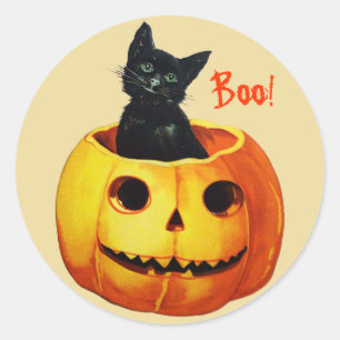 Kat in Pompoen Halloween Stickers