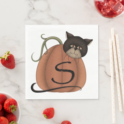 Kat in pompoen servet (Insitu)