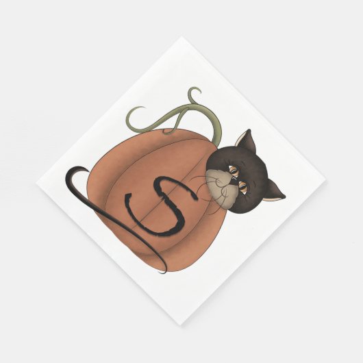Kat in pompoen servet (Hoek)