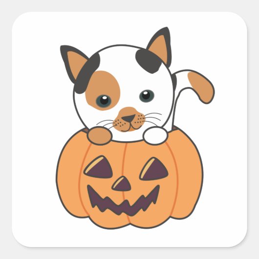 Kat in pompoen, zoete katten, Happy Halloween Vierkante Sticker (Voorkant)