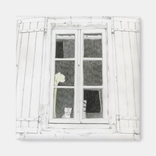 Kat in raammagneet magneet (Voorkant)