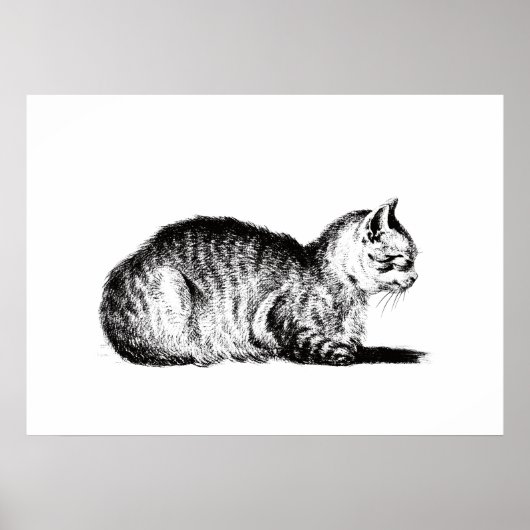 Kat in reclining, links, Jean Bernard, 1812 Poster (Voorkant)