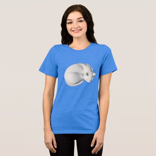 Kat in Repose-3 T-shirt (Voorkant volledig)