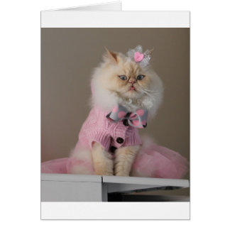 kat in roze trui