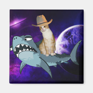 KAT IN RUIMTE DIE EEN SHARK MAGNET RIDNERT