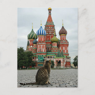 Kat in Rusland Moskou Reizen Briefkaart