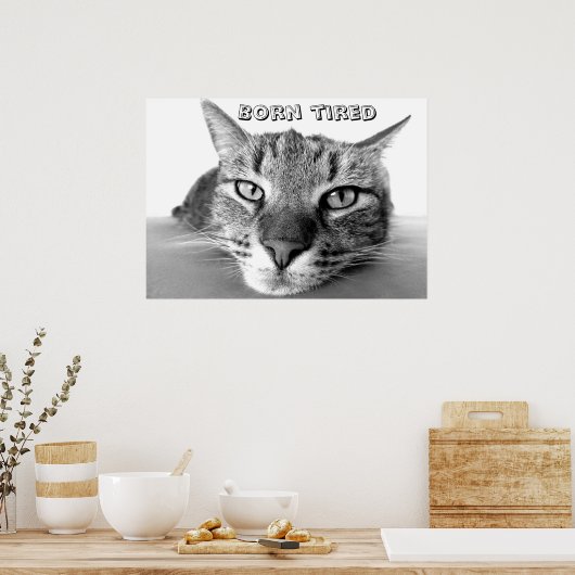 Kat in ruste poster (Keuken)