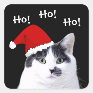 Kat in Santa Hat Vierkante Sticker