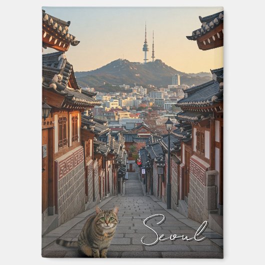 Kat in Seoul Bukchon Zuid-Korea Magneet (Voorkant)