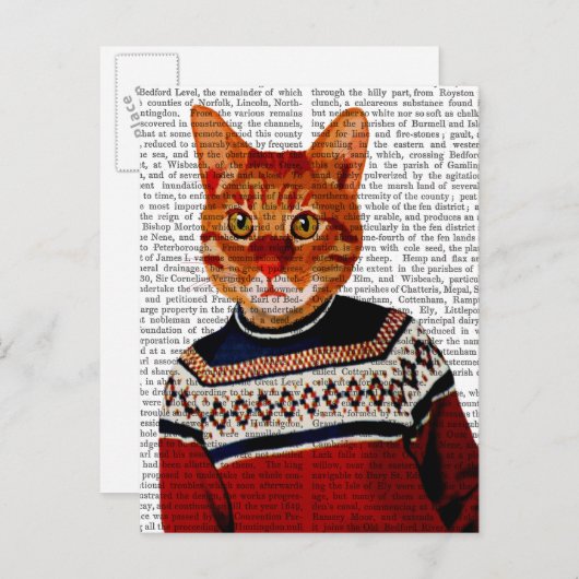 Kat in Ski Sweater 2 Briefkaart (Voorkant / Achterkant)