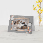 Kat in slaap gekruld foto koraal grijze verjaardag kaart