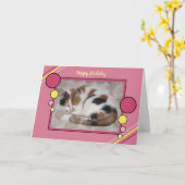 Kat in slaap gekruld foto roze gele verjaardag kaart (Gele Bloem)