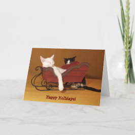 Kat in slee Humor Kerst Kaart
