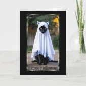 Kat in spookkostuum Halloween Kaart (Voorkant)
