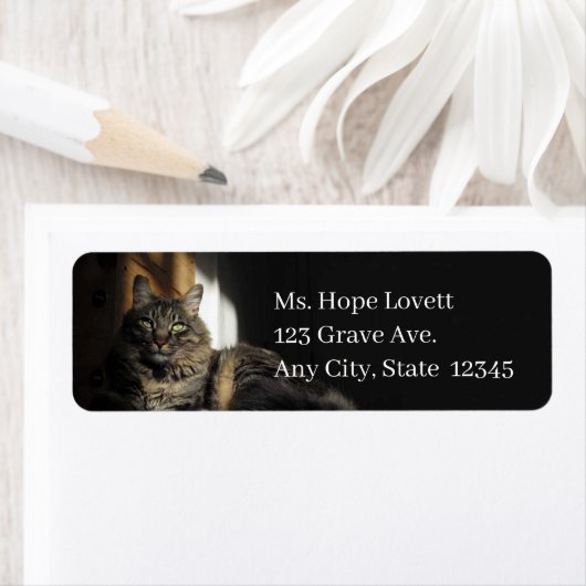 Kat in Sunlight Return Address Labels (Insitu)