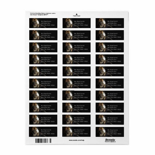 Kat in Sunlight Return Address Labels (Full Sheet)