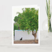 Kat in Tuinportret Kaart (Voorkant)