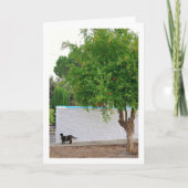 Kat in Tuinportret Kaart (Voorkant)