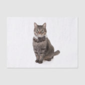 Kat in Tuxedo Tissuepapier (Voorkant)