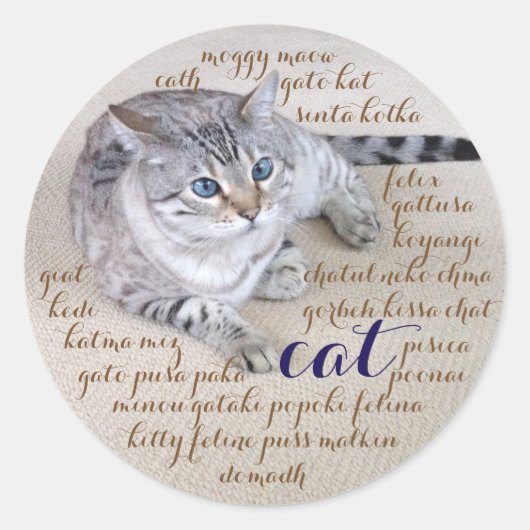 Kat in vele talen ronde sticker (Voorkant)